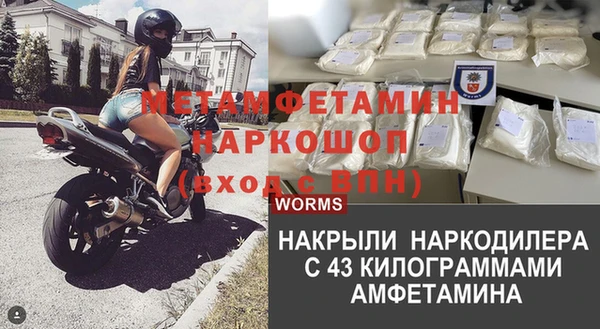 прущие грибы Карталы