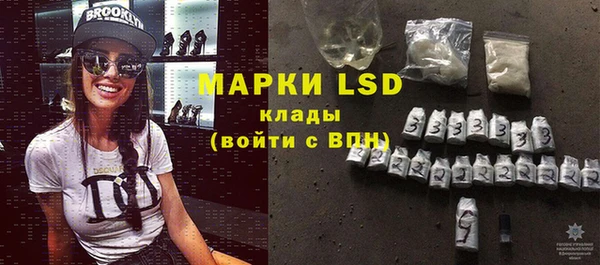 прущие грибы Карталы