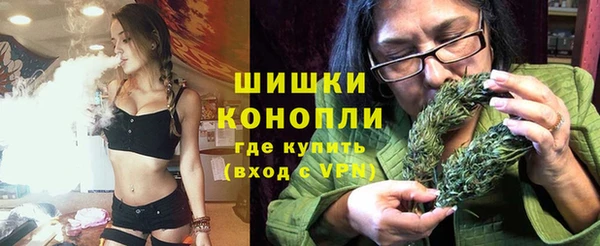 прущие грибы Карталы