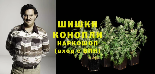 PSILOCYBIN Киренск