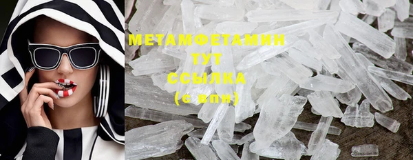 прущие грибы Карталы