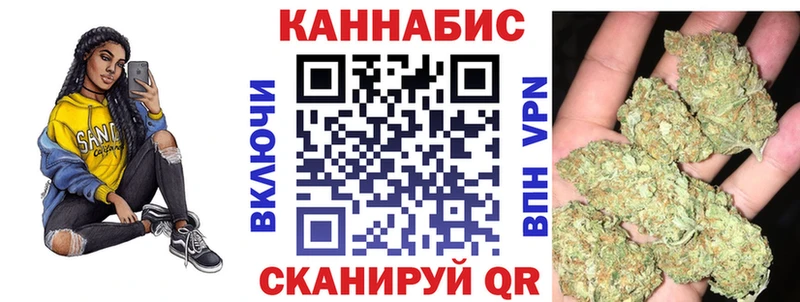 Конопля сатива Тосно